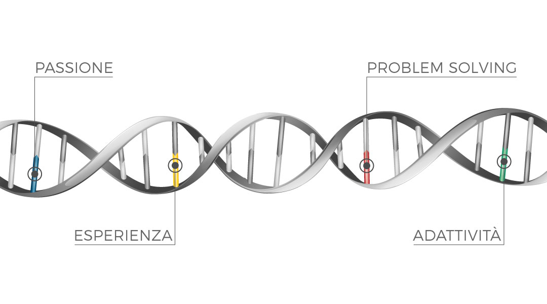 LBS - Our DNA